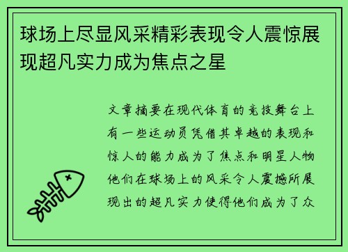 球场上尽显风采精彩表现令人震惊展现超凡实力成为焦点之星