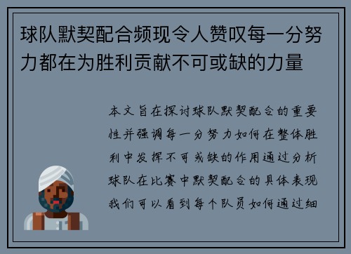 球队默契配合频现令人赞叹每一分努力都在为胜利贡献不可或缺的力量