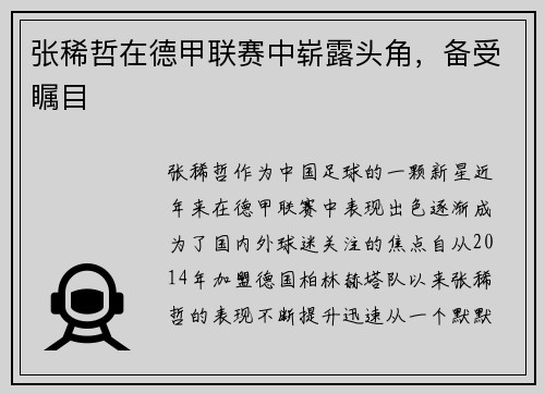 张稀哲在德甲联赛中崭露头角，备受瞩目